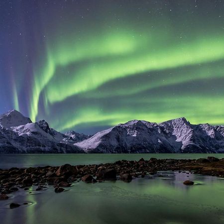 شقة Lyngenfjord,Odins Hus Olderdalen المظهر الخارجي الصورة