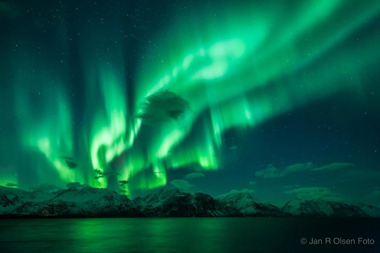 شقة Lyngenfjord,Odins Hus Olderdalen المظهر الخارجي الصورة
