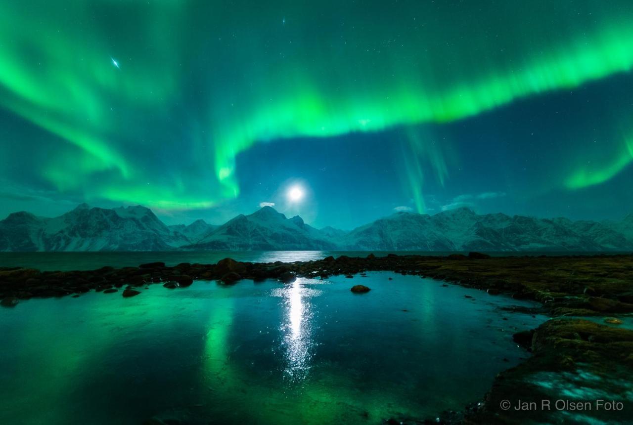 شقة Lyngenfjord,Odins Hus Olderdalen المظهر الخارجي الصورة
