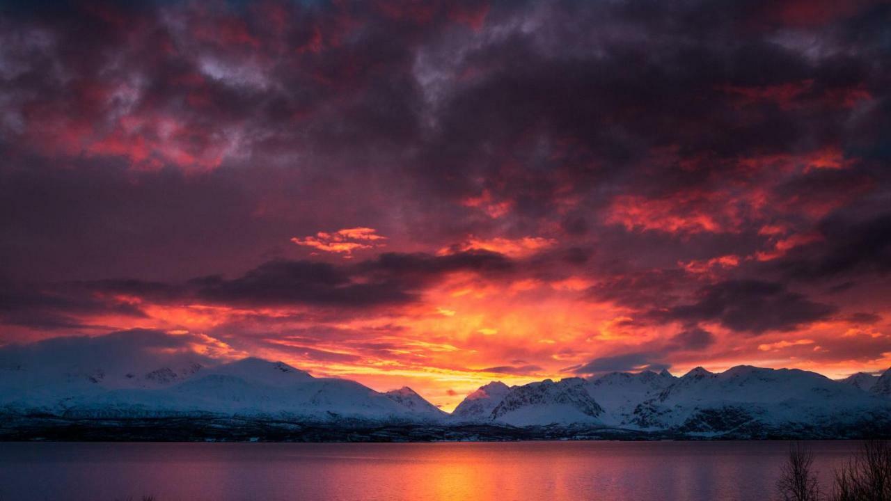 شقة Lyngenfjord,Odins Hus Olderdalen المظهر الخارجي الصورة
