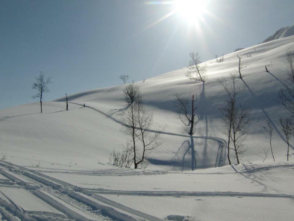شقة Lyngenfjord,Odins Hus Olderdalen المظهر الخارجي الصورة