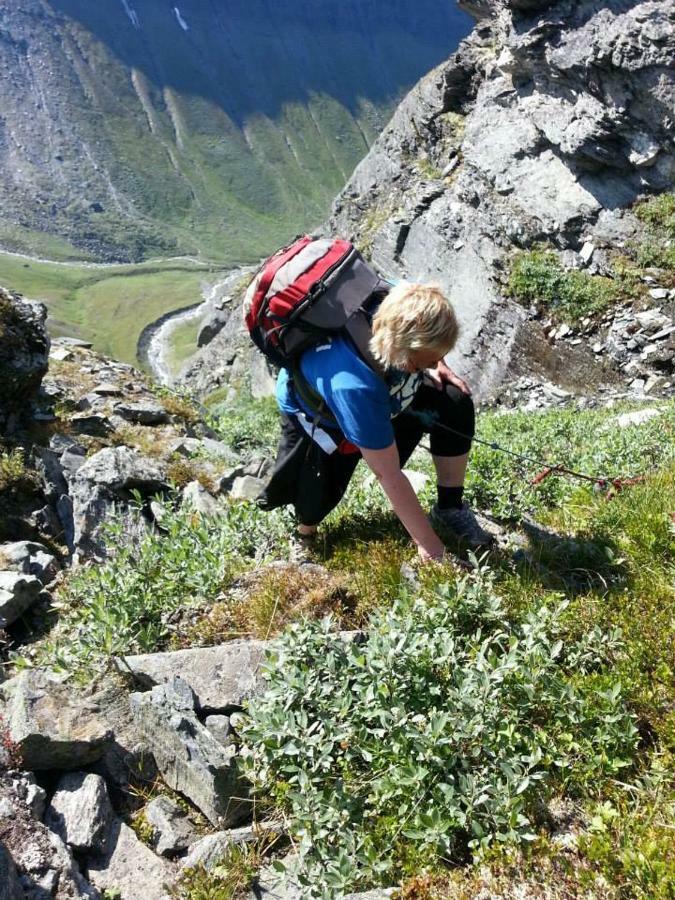 شقة Lyngenfjord,Odins Hus Olderdalen المظهر الخارجي الصورة