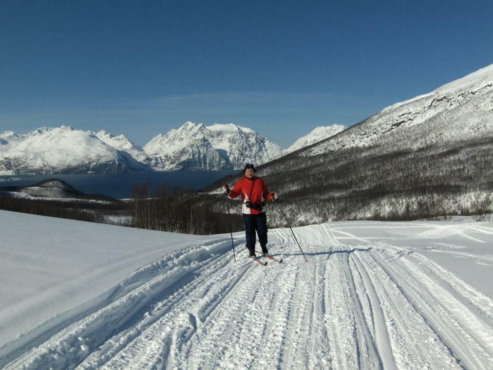 شقة Lyngenfjord,Odins Hus Olderdalen المظهر الخارجي الصورة